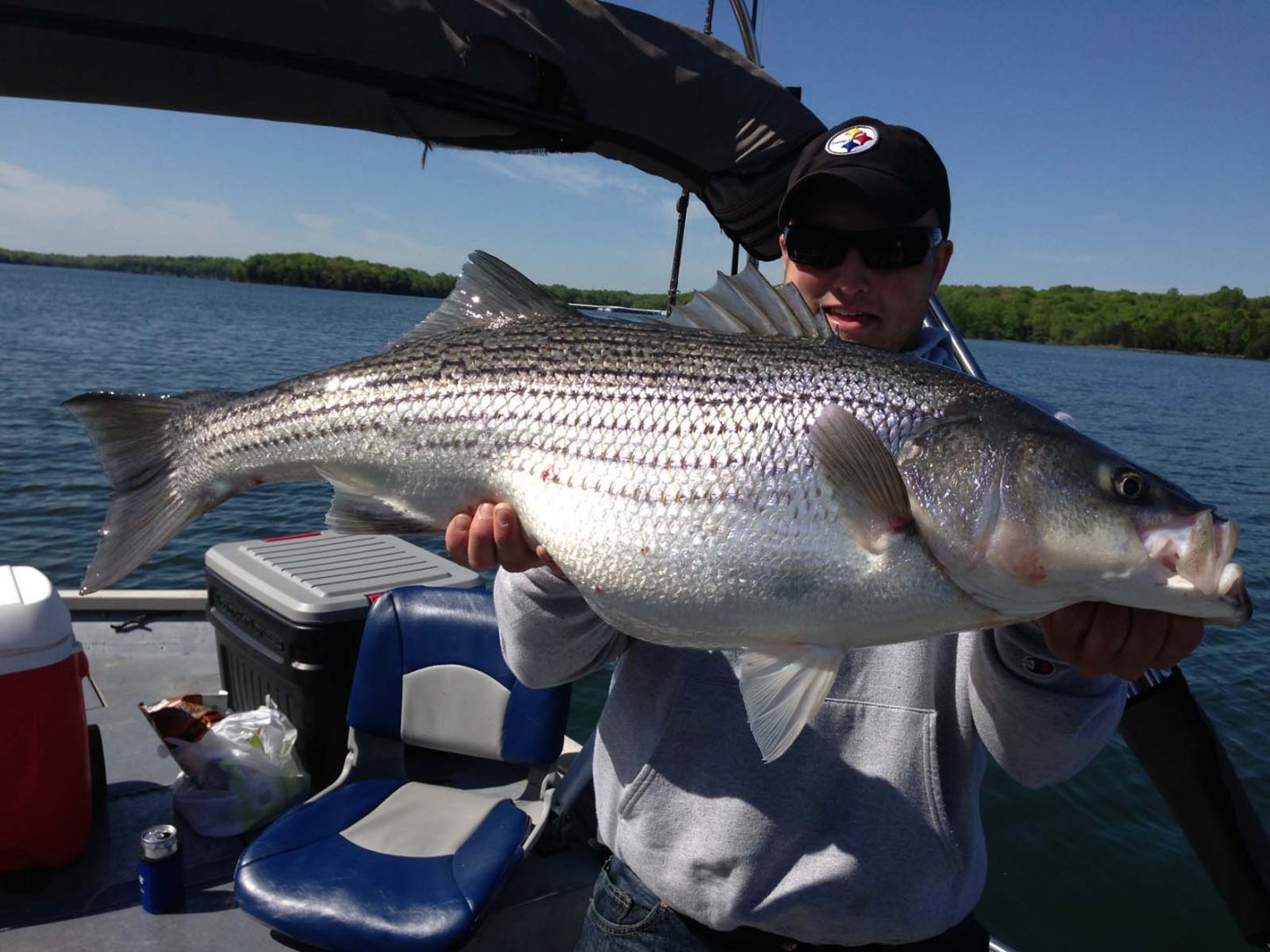 Percy Priest Lake - Nashville TN Striper Fishing with Billy Flatt