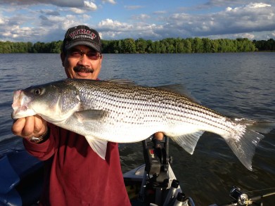 Stripers on tims ford #6