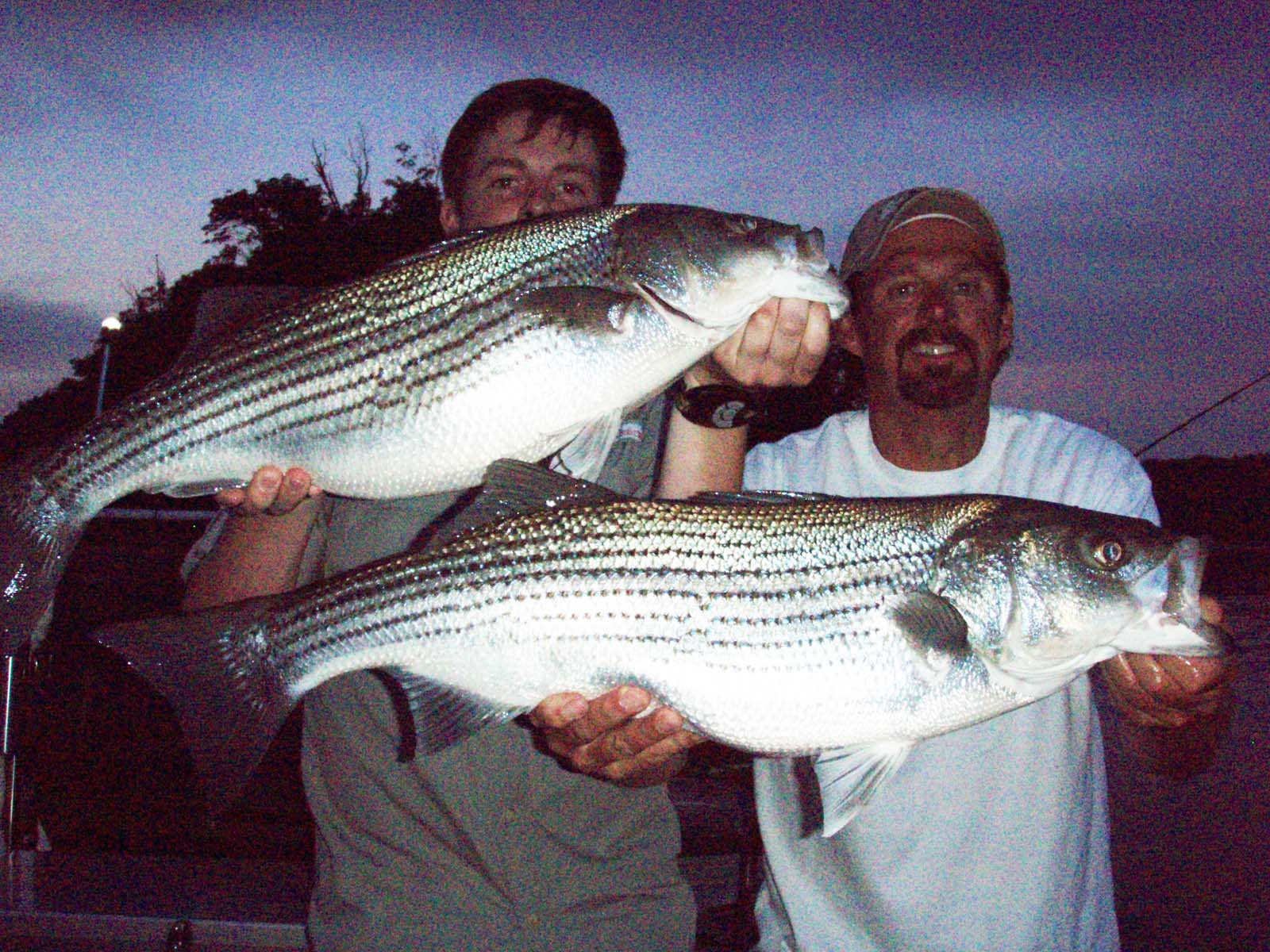 Stripers on tims ford #7